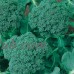 Broccoli Seeds - Waltham 29 - 3 Gram Packet - Non-GMO, Heirloom - Vegetable Gardening, Microgreens, Seeds - Brassica oleracea   565432047